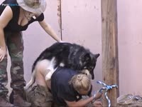 Force beastiality dog sex with prisoners